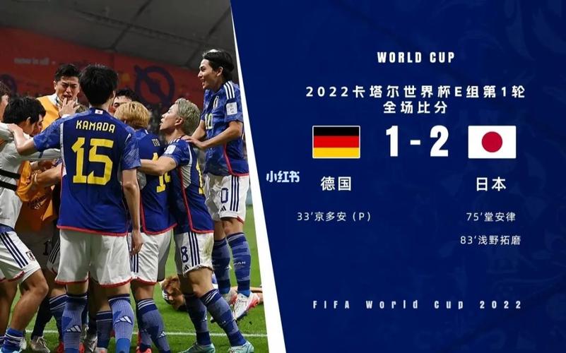 日本vs德国中央电视台